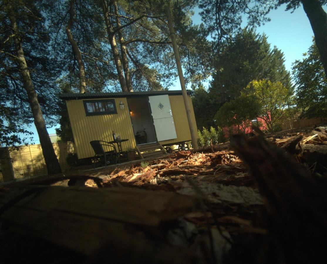 Forest Heath Shepherd'S Huts Ringwood Exteriér fotografie