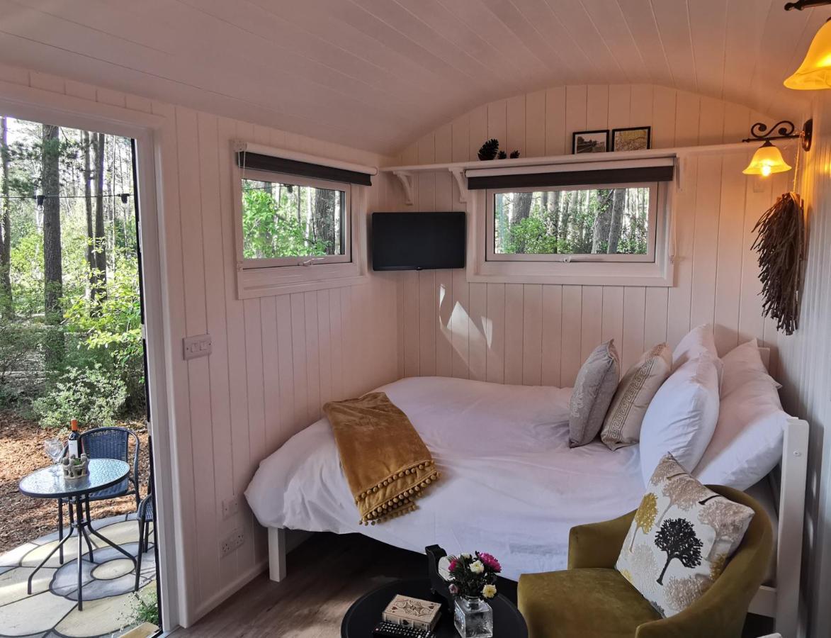 Forest Heath Shepherd'S Huts Ringwood Exteriér fotografie