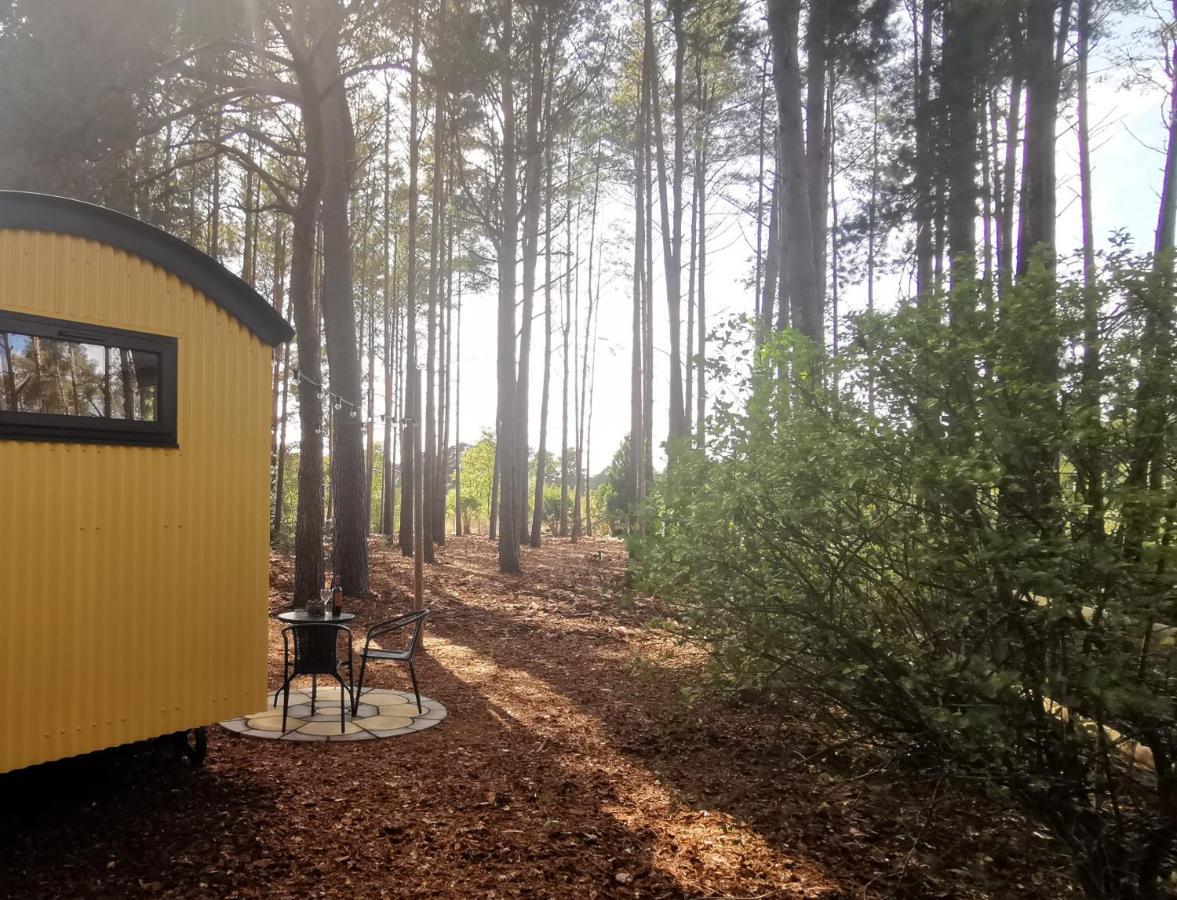 Forest Heath Shepherd'S Huts Ringwood Exteriér fotografie