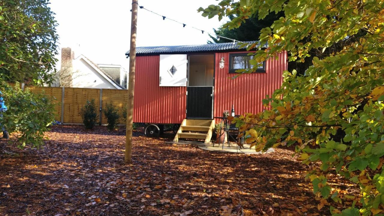 Forest Heath Shepherd'S Huts Ringwood Exteriér fotografie