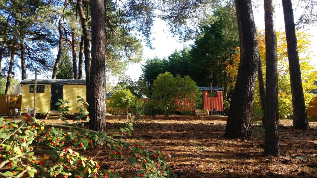 Forest Heath Shepherd'S Huts Ringwood Exteriér fotografie