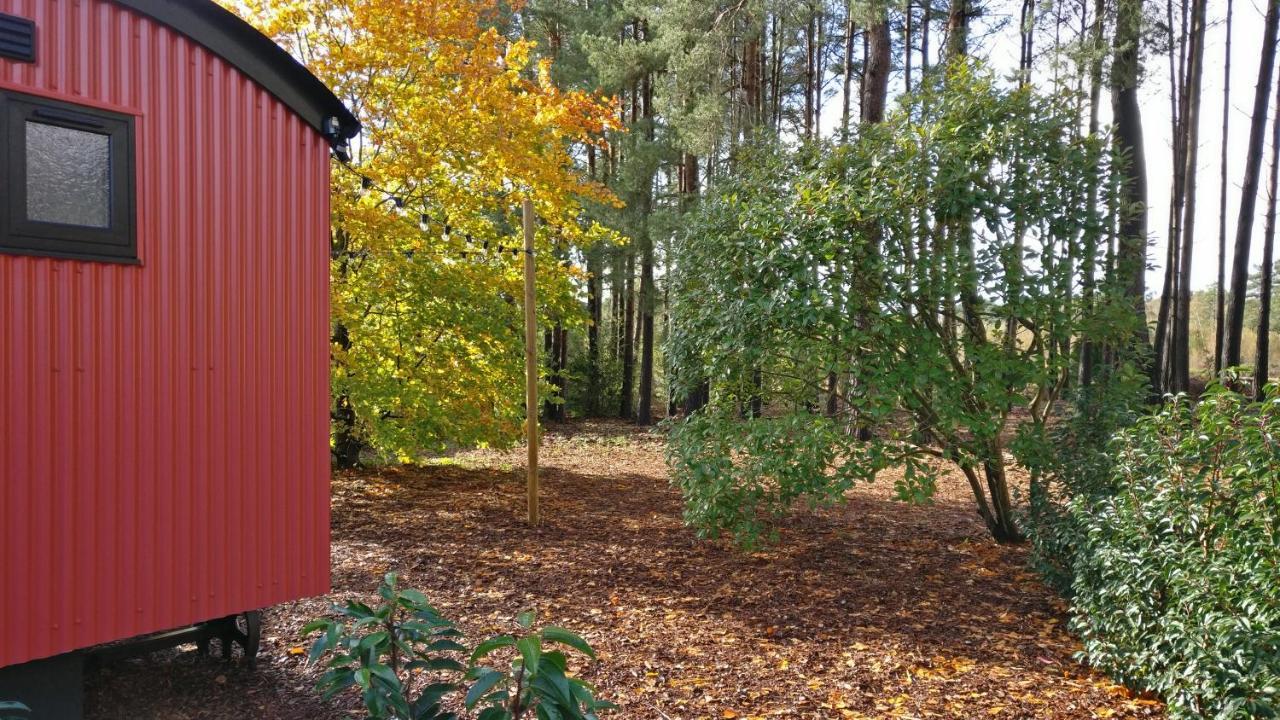 Forest Heath Shepherd'S Huts Ringwood Exteriér fotografie