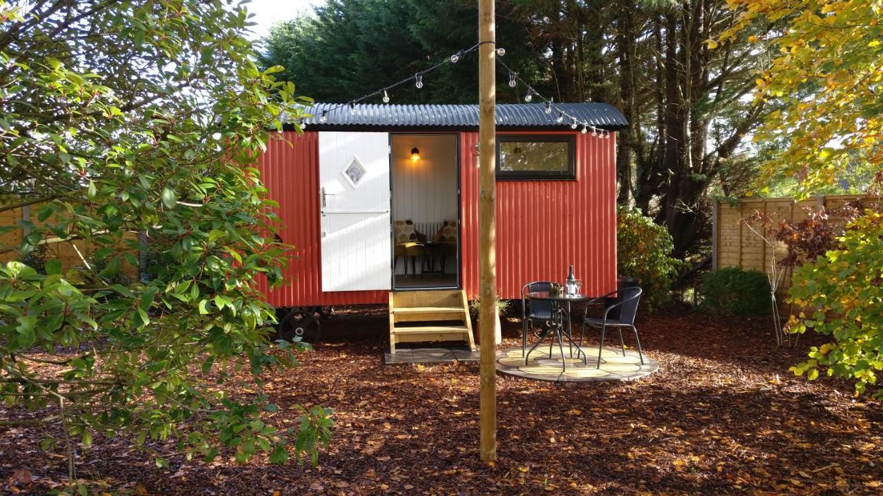 Forest Heath Shepherd'S Huts Ringwood Exteriér fotografie