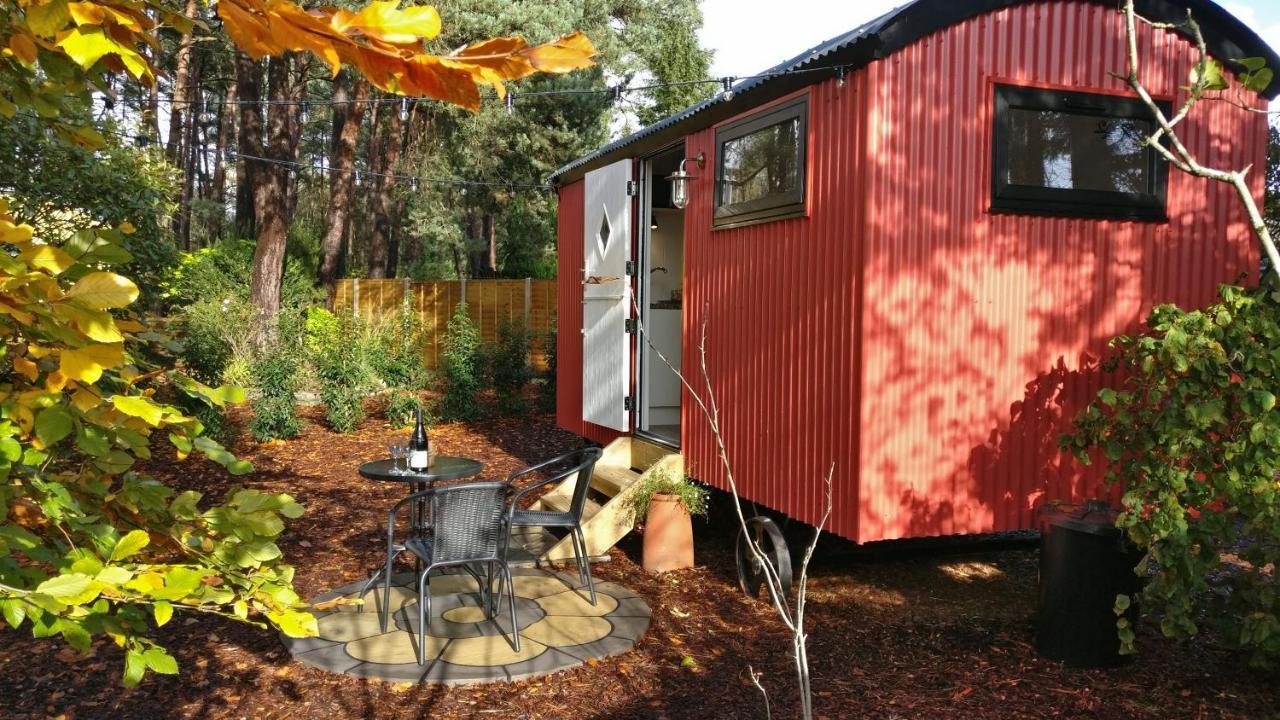 Forest Heath Shepherd'S Huts Ringwood Exteriér fotografie