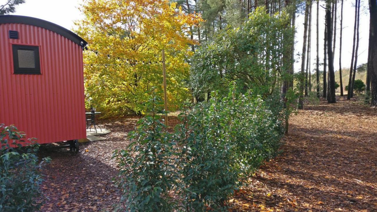 Forest Heath Shepherd'S Huts Ringwood Exteriér fotografie